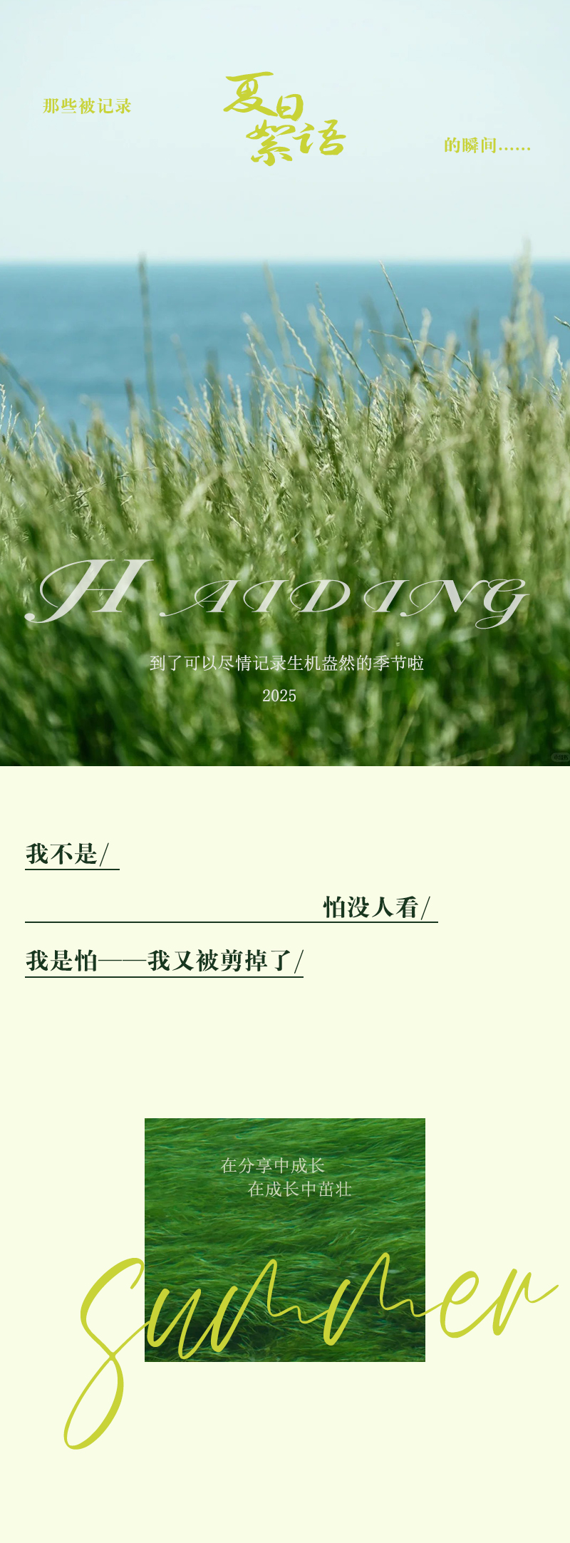 1764484256208685.jpg 2.jpg