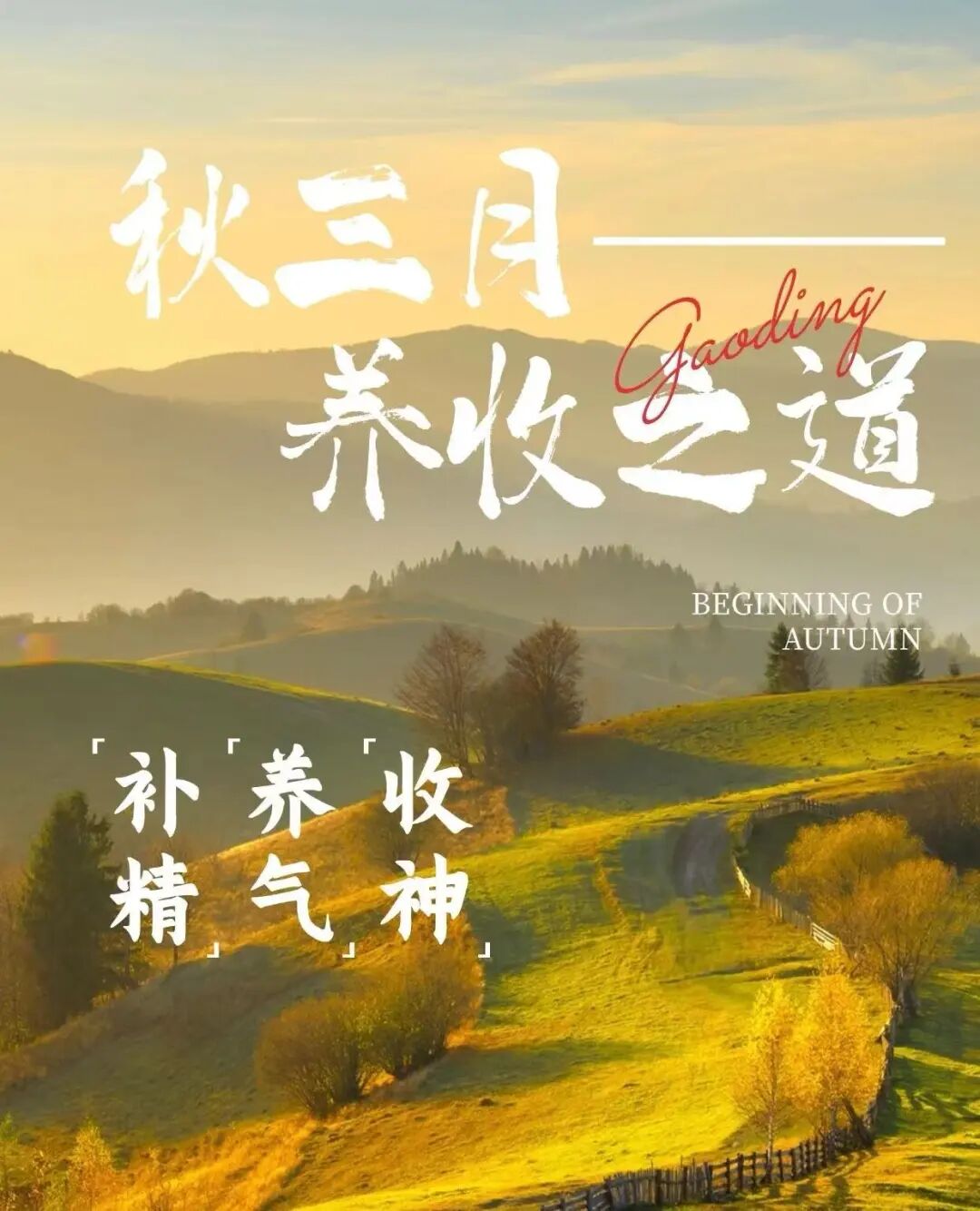 1764552832858128.jpg e36a71cfd9772be4c806d70b99482c91.jpg