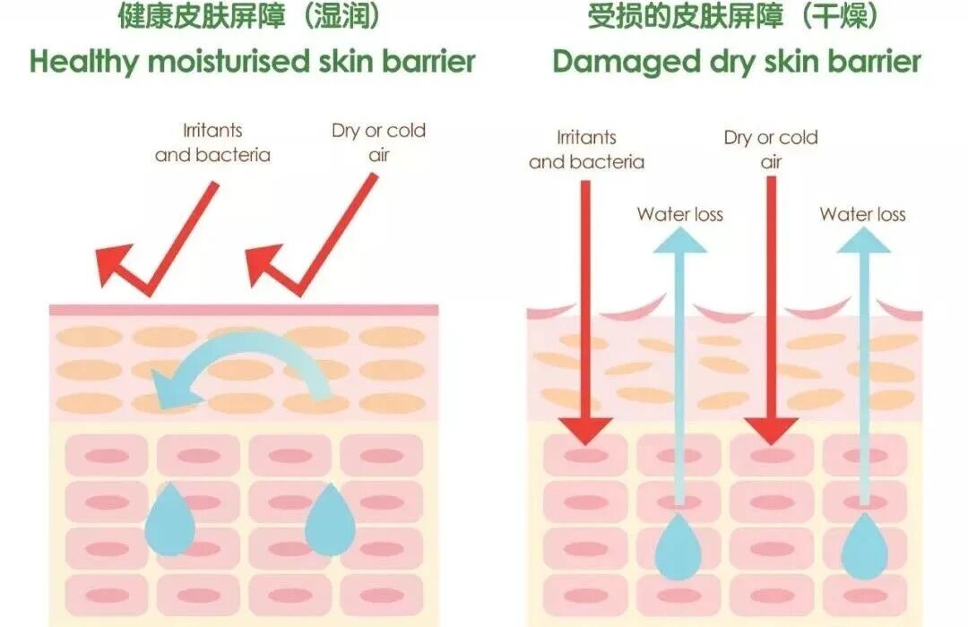 1764557068187756.jpg 18b7f70efb2843723be131d4bf76d880.jpg